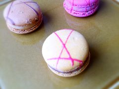 -上海外滩英迪格酒店