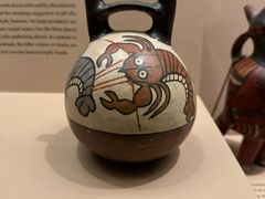 -美国自然历史博物馆