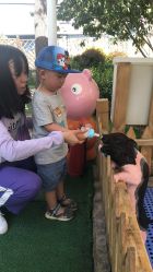 -萌宠亲子动物乐园(槐房万达店)