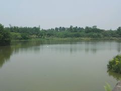 -白鹭湾湿地公园