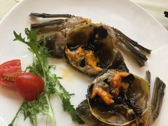 -王宝和酒家(黄浦店)