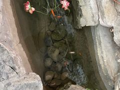 -森谷美食公园(杨行店)