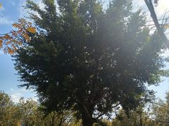 -牛岗山公园