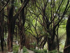 -重庆平顶山公园