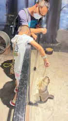 -酷嗒动物文化乐园(cutezoo西溪乐天城店)