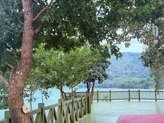-广州市流溪河国家森林公园