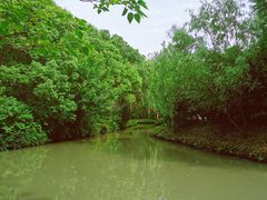 -同里国家湿地公园