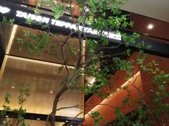 -大神太神·铁板烧(七宝领展广场店)