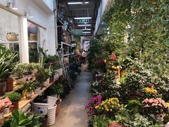 -双季花艺园艺市场(浦东店)