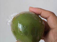 -沈大成(城隍庙店)