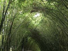-凤城河风景区