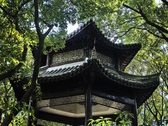 -广富林郊野公园
