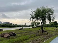 -春花秋色城市公园