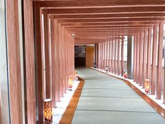 -重庆南山海昌汤都