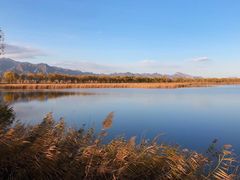 -野鸭湖国家湿地公园