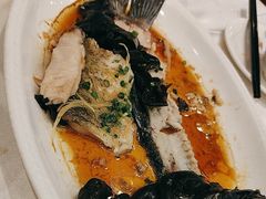 -清新鸡沙田乳鸽店(金融店)