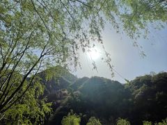 -秦岭终南山世界地质公园翠华山景区