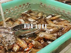 -昆明华邑酒店-鲜艳全日餐厅