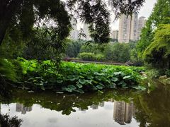 -龙头寺公园