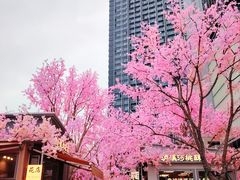 -首开·龙湖成都西宸天街