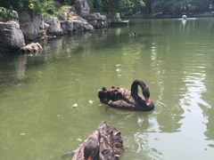 -钓鱼台国宾馆