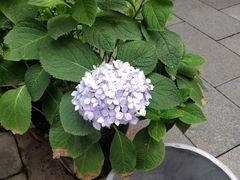 -泉乐坊步行街(烟酒特产平价超市店)