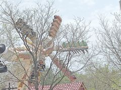 -南戴河国际娱乐中心