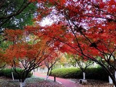-江南大学(蠡湖校区)