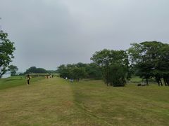 -盘龙城国家考古遗址公园