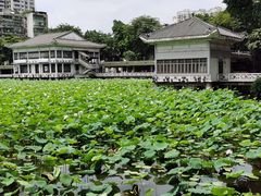 -荔湾湖公园