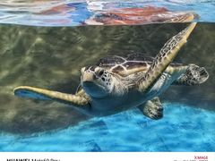 -秦皇岛新澳海底世界