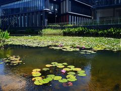 -星巴克(深圳前海企业公馆店)