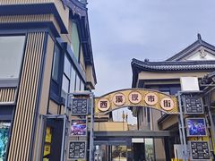 -东台西溪天仙缘景区
