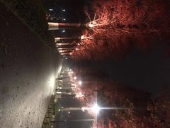 -东湖磨山景区