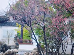 -八大山人梅湖景区