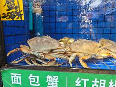 -德云居