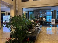 -成都保利公园皇冠假日酒店(熊猫基地店)