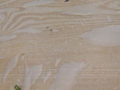 -江城燕子大排档(江汉路步行街店)