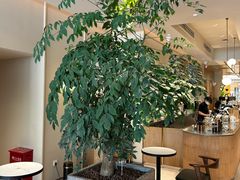 -Peet's 皮爷咖啡(海雅缤纷城店)