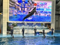 -合肥海洋世界