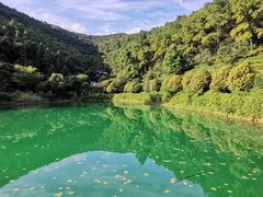 -九龙潭景区