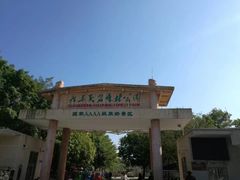 -广东茂名森林公园