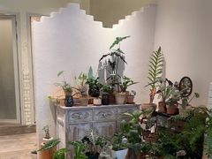 -坦克·甜品店(莲花广场店)