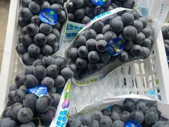 -马陆小张葡萄园农家乐