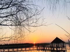 -瑶湖郊野森林公园