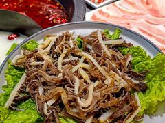 -陈府大宅门成都火锅·手切鲜肉(太原街店)