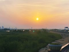 -合肥滨湖国家森林公园