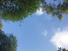 -近代中国十八先贤铜像广场(广州校区)