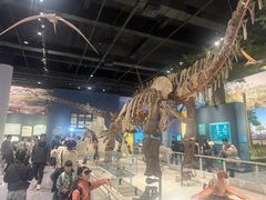 -国家自然博物馆