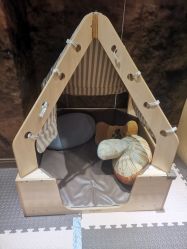 -卡通尼·Safari非洲探索乐园·生日会(金桥国际商业广场店)